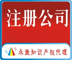 公司注册全攻略 从进出口贸易公司到分公司，一站式商业服务指南